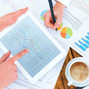 Website Care Plan - Silver