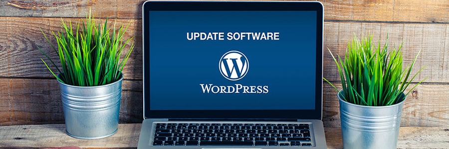WordPress-Core--Updates