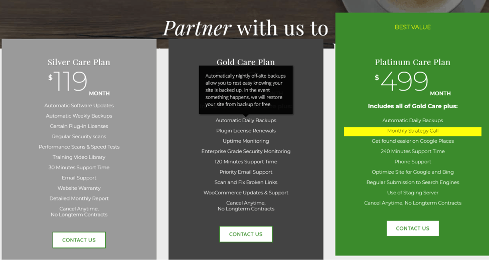 Dedicated WordPress Webmaster care plans