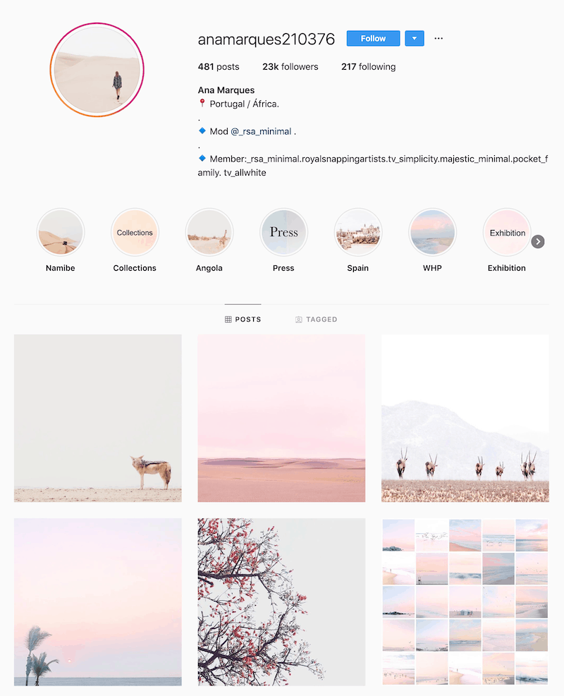 Ana Marques Instagram profile example