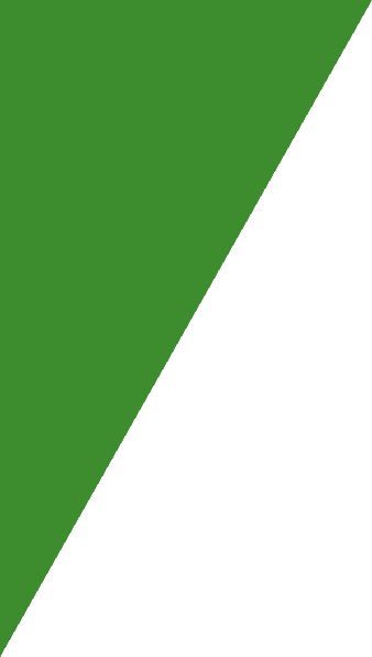 Rectangle 79