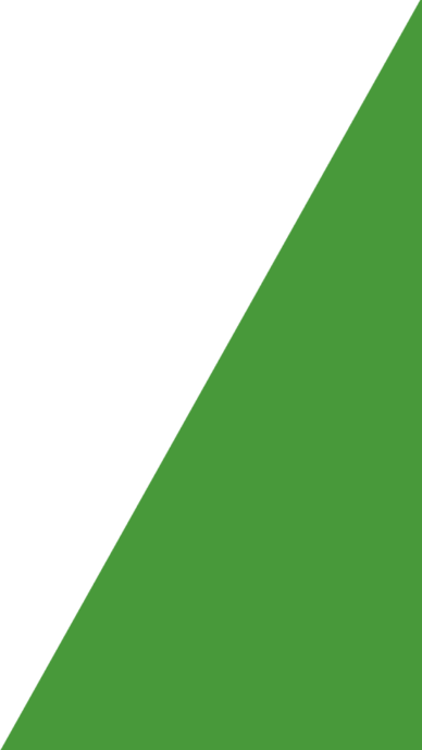 Rectangle 17